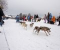 winterberg-schlittenhunderennen-2010-013