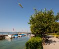 Bodensee-2015-008 Bodensee-2015-008
