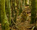 Bodensee-2015-182 Bodensee-2015-182