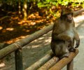 Bodensee-2015-185 Bodensee-2015-185