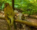 Bodensee-2015-192 Bodensee-2015-192