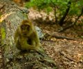 Bodensee-2015-193 Bodensee-2015-193