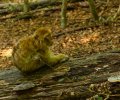 Bodensee-2015-194 Bodensee-2015-194