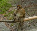 Bodensee-2015-199 Bodensee-2015-199