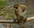 Bodensee-2015-200 Bodensee-2015-200