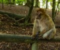 Bodensee-2015-204 Bodensee-2015-204