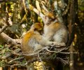 Bodensee-2015-210 Bodensee-2015-210