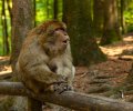 Bodensee-2015-216 Bodensee-2015-216