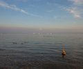 Bodensee-2015-254 Bodensee-2015-254