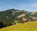 Bodensee-2015-258 Bodensee-2015-258