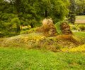 Bodensee-2015-299 Bodensee-2015-299
