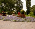 Bodensee-2015-301 Bodensee-2015-301