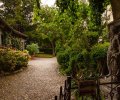Bodensee-2015-318 Bodensee-2015-318