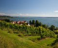 Bodensee-2016-003