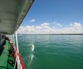 Bodensee-2017-052 Bodensee-2017-052