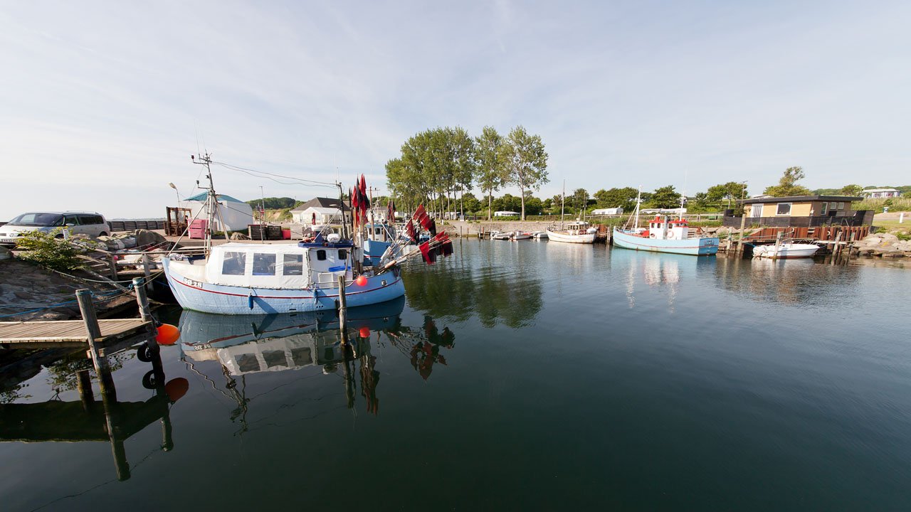 segeln-daenemark-macalee-2013-015