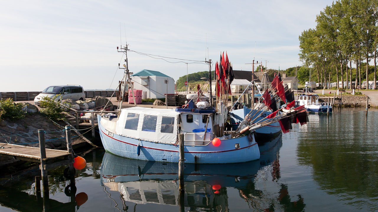 segeln-daenemark-macalee-2013-016