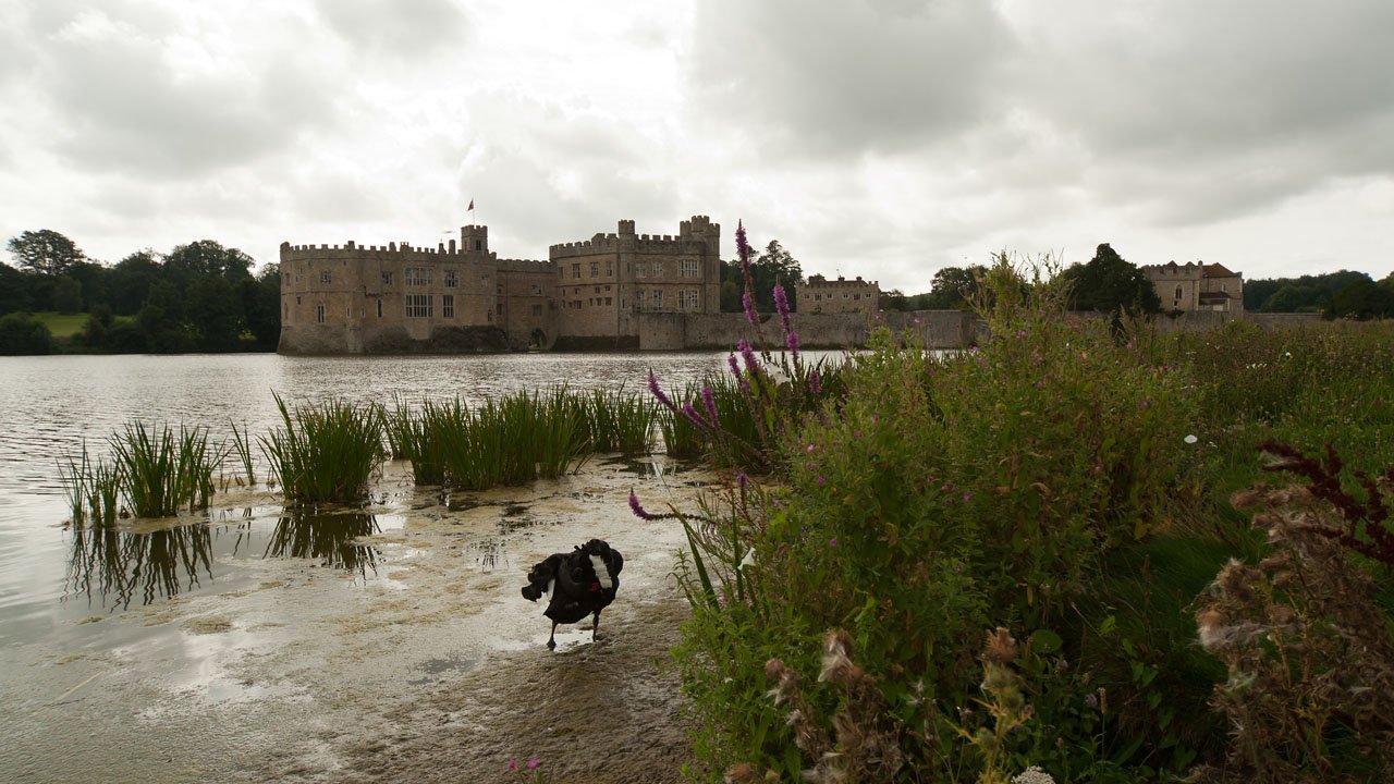 england-cornwall-2012-008