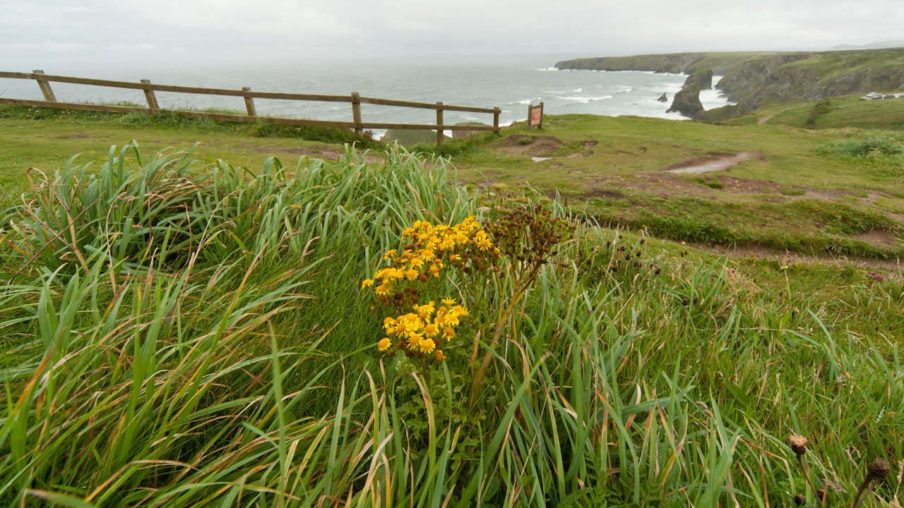england-cornwall-2012-039