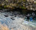 Island-2017-625 Island-2017-625