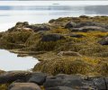 Island-2018-114 Island-2018-114