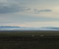 Island-2018-424 Island-2018-424