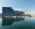 Island-2018-549 Island-2018-549