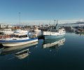 Island-2018-551 Island-2018-551