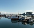 Island-2018-553 Island-2018-553