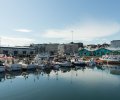 Island-2018-554 Island-2018-554