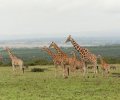 kenia 2011 kenia 2011