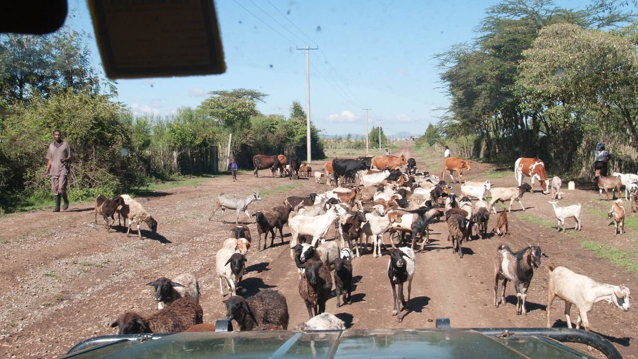 kenia 2011