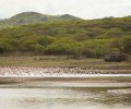 kenia 2011