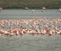 kenia 2011 kenia 2011