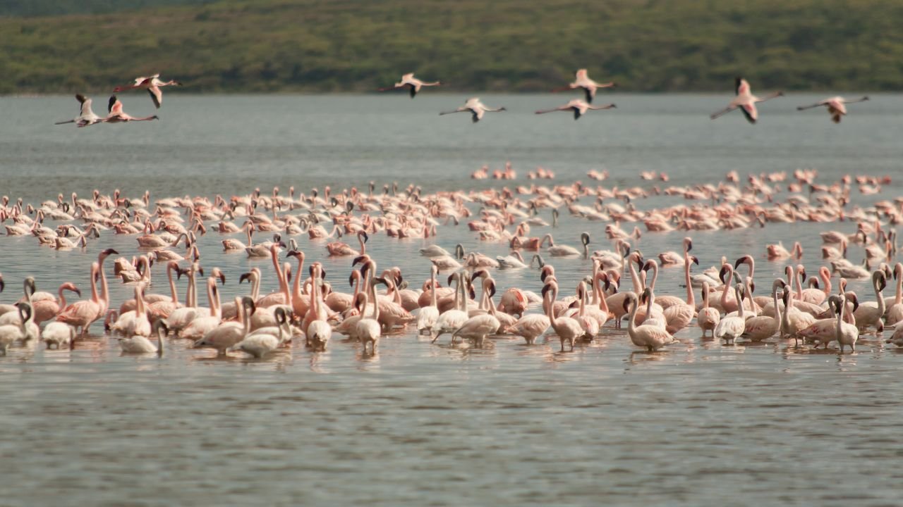 kenia 2011 kenia 2011
