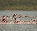 kenia 2011 kenia 2011