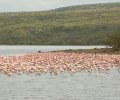 kenia 2011