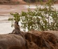 kenia-2014-048 kenia-2014-048