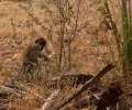 kenia-2014-050 kenia-2014-050