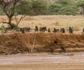 kenia-2014-051 kenia-2014-051