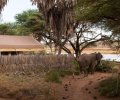 kenia-2014-052 kenia-2014-052