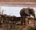 kenia-2014-054 kenia-2014-054
