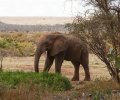 kenia-2014-056 kenia-2014-056