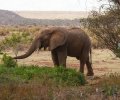 kenia-2014-057 kenia-2014-057