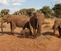 kenia-2014-058 kenia-2014-058