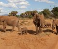 kenia-2014-059 kenia-2014-059