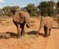 kenia-2014-060 kenia-2014-060
