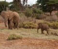 kenia-2014-061 kenia-2014-061