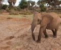 kenia-2014-062 kenia-2014-062