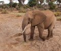 kenia-2014-063 kenia-2014-063